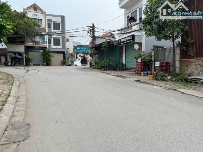 🔥 🔥 Bán Lô 55m2 Mạch Tràng, Cổ Loa - Mặt tiền 5m, Ô Tô  vào đất - Gần Vin Cổ Loa - 2