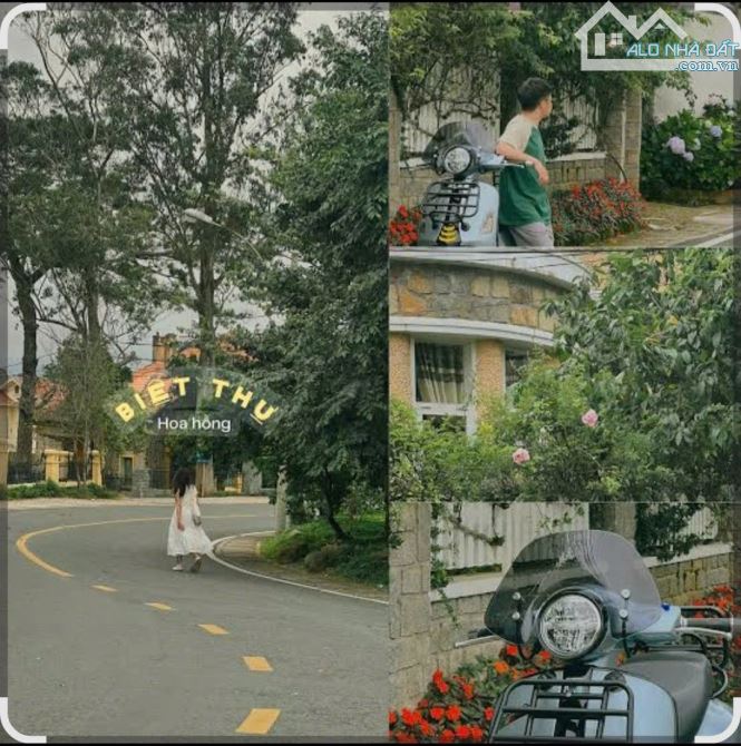 Bán căn biệt thự Cô Giang- Phường 9- Đà Lạt🔥262m- thích hợp nghỉ dưỡng 16 Tỷ - 2