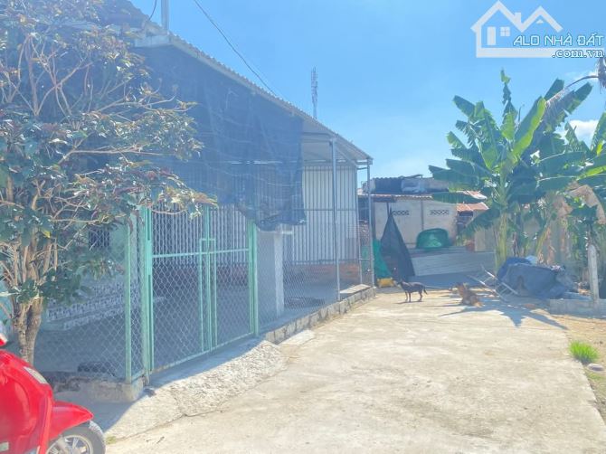 Bán nhà Suối Hiệp giá rẻ thôn Phú Hậu - full thổ cư - 2
