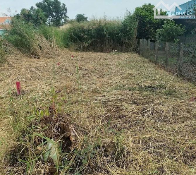 160M2 ĐẤT MẶT TIỀN NGUYỄN QUANG ĐẠI THUẬN TIỆN KINH DOANH MỌI NGÀNH NGHỀ - 2