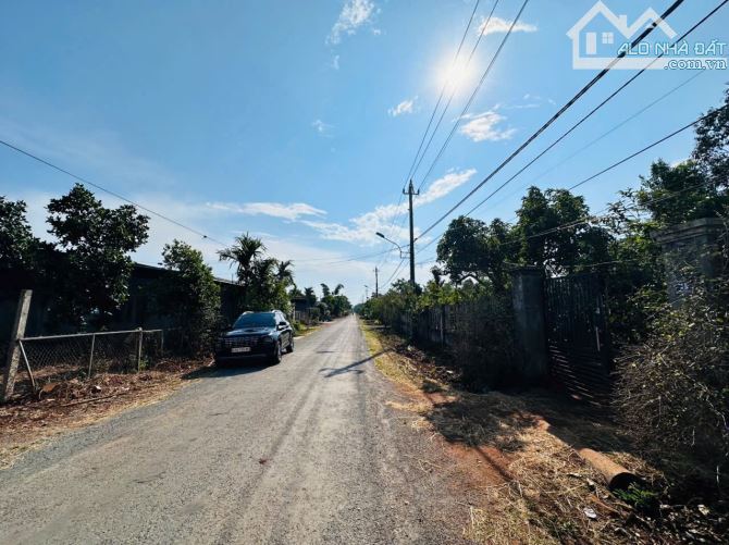7x54m ĐẤT THỔ CƯ ĐƯỜNG N6 BUÔN JU ĐẸP-GIÁ RẺ - 3