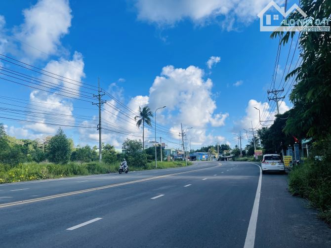 500m2 Mặt tiền Dương Đông-Cửa Cạn - 3