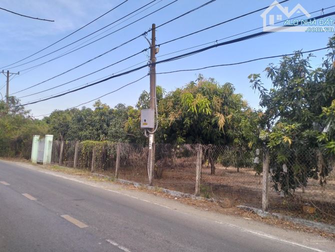 BÁN ĐẤT MT ĐƯỜNG DUYÊN HẢI – CẦN GIỜ, GẦN DỰ ÁN VINHOMES, 1.706 M2, GIÁ RẺ BẤT NGỜ - 3