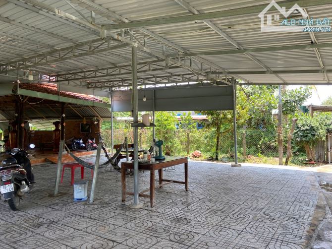 Cần bán đất + nhà cấp 4 mặt tiền nhựa xã Phú Mỹ Hưng Củ Chi 2900m2 300m thổ cư - 3