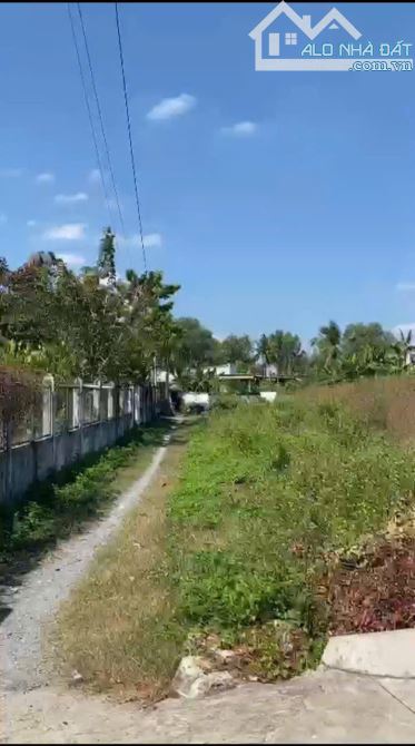 Bán nhanh 2100m2 full thổ cư hẻm xe hơi đường Long Thuận Long Phước giá đầu tư 38 triệu/m2 - 3
