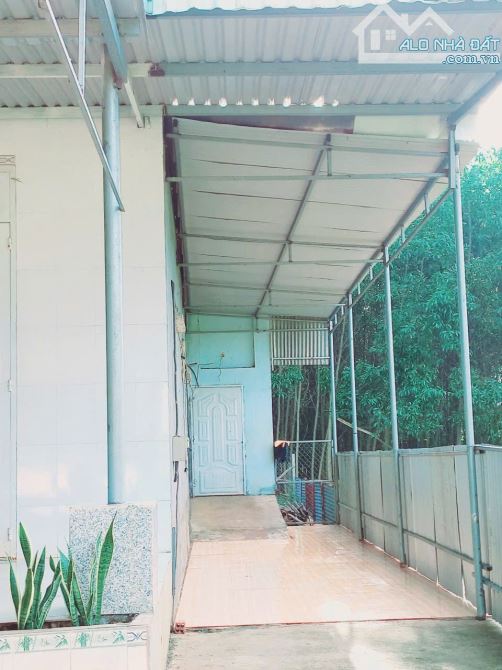 Bán nhà kp1 thị trấn Vĩnh An, dt 9x60 sr thổ cư - 3