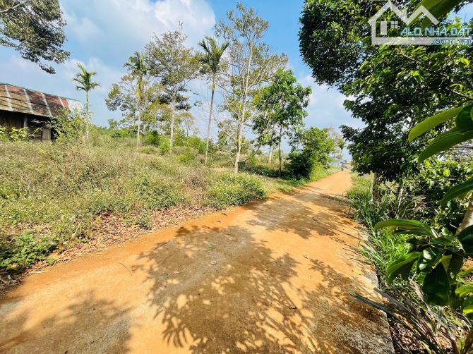 Đất hẻm cấp 1 Quốc Lộ 14 Cuor Đăng thích hợp làm kho bãi - 3