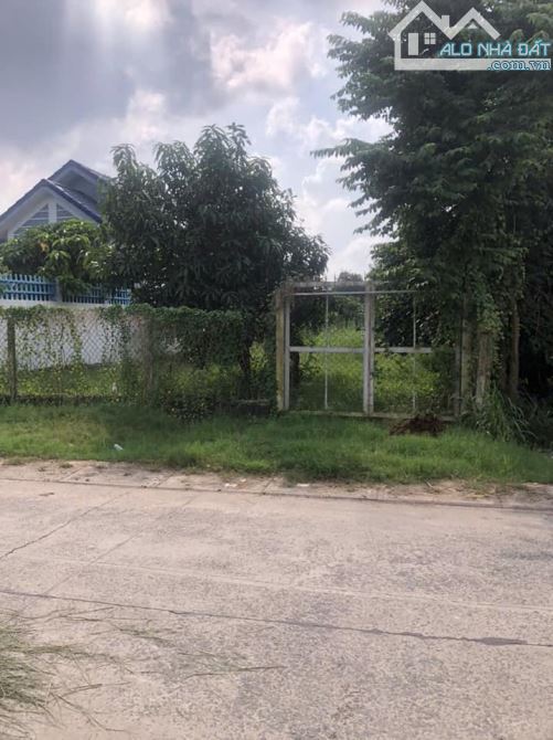GIÁ CHÍNH XÁC 650TR BÁN GẤP LÔ ĐẤT ĐẸP NGAY BV.XUYÊN Á SHR ĐƯỜNG Ô TÔ - 3