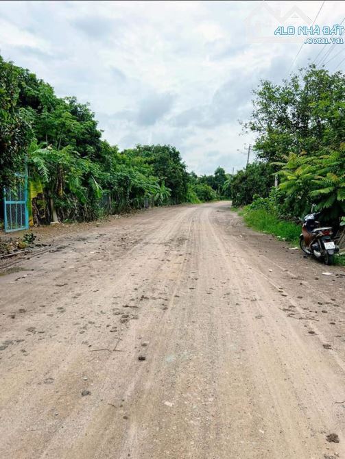 BÁN GẤP TRANG TRẠI 60,000M2(6HA) XÃ PHÚ NGỌC HUYỆN ĐỊNH QUÁN ĐỒNG NAI CHỈ 20 TỶ - 3