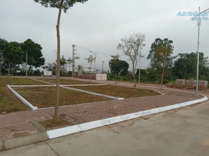 66,6m đấu giá Vạn Yên - Mê Linh - 3