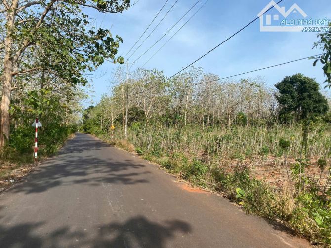 3 Sào- Đá bạc, H Châu Đức - Bà Rịa VT Sẵn 300 Thổ Cư  - Mặt tiền đường nhựa - - 3