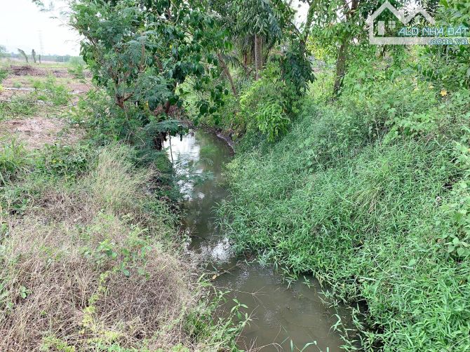 Bán khoảng 3 sào 6 (3672m2) đất Bình Ba, huyện Châu Đức, BRVT. - 4