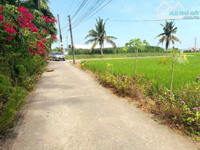 Hàng Vip, Lô góc 250m2 đất thổ cư 10x 25m chỉ 790tr - 4