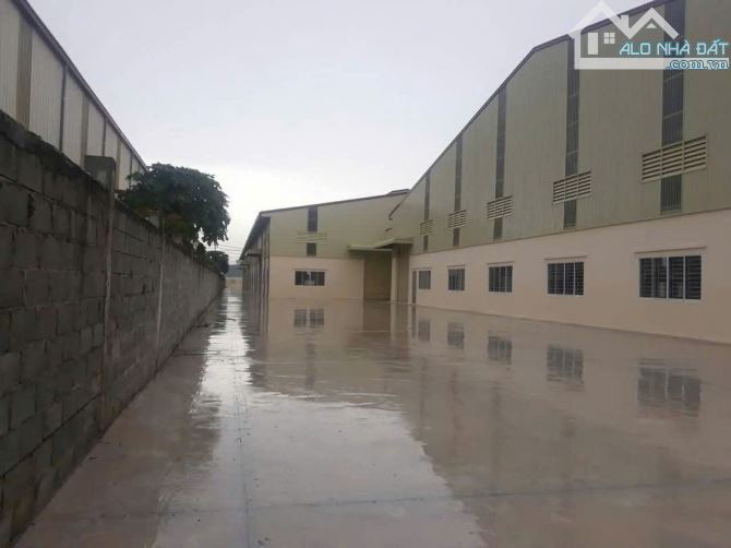 Cần bán nhà xưởng 20.000m2 trong KCN Đức Hòa, Long An - 2
