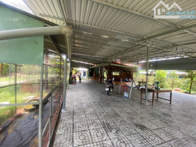 Cần bán đất + nhà cấp 4 mặt tiền nhựa xã Phú Mỹ Hưng Củ Chi 2900m2 300m thổ cư - 4