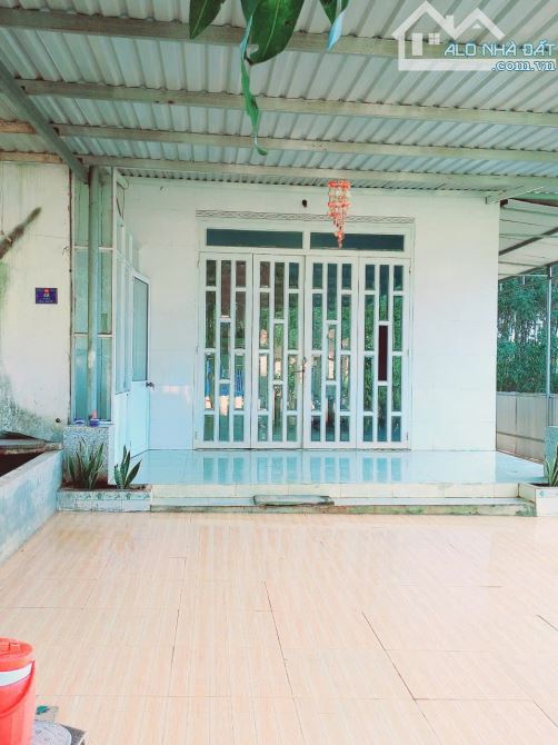 Bán nhà kp1 thị trấn Vĩnh An, dt 9x60 sr thổ cư - 4