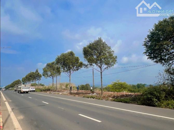 Hơn 2 sào mặt tiền Vành Đai 10/3 phường Tân Lợi - 4