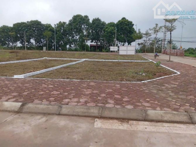 66,6m đấu giá Vạn Yên - Mê Linh - 4