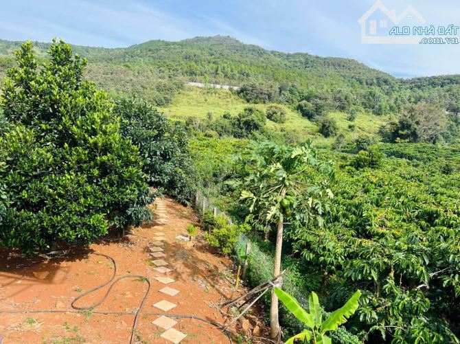 Cần bán nhà vườn cây số 5 xã Liên Hiệp - 4