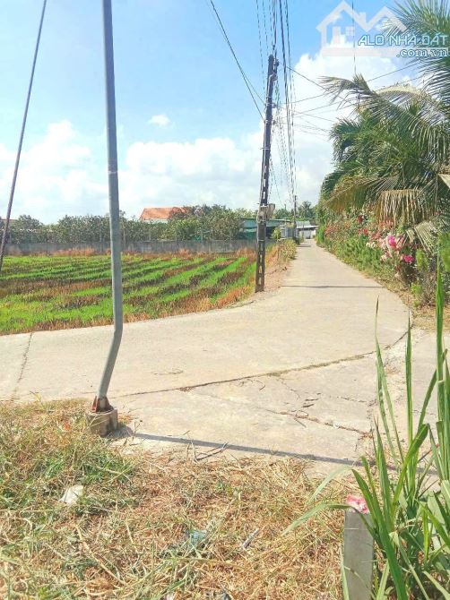 Hàng Vip, Lô góc 250m2 đất thổ cư 10x 25m chỉ 790tr - 5