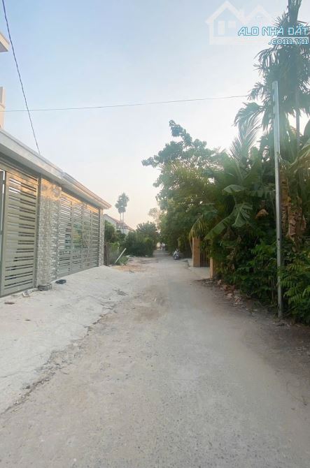 đất 115,9m2 3ty TL MT đường Bình Nhâm 39, p.Bình Nhâm, Tp.Thuận An - 5