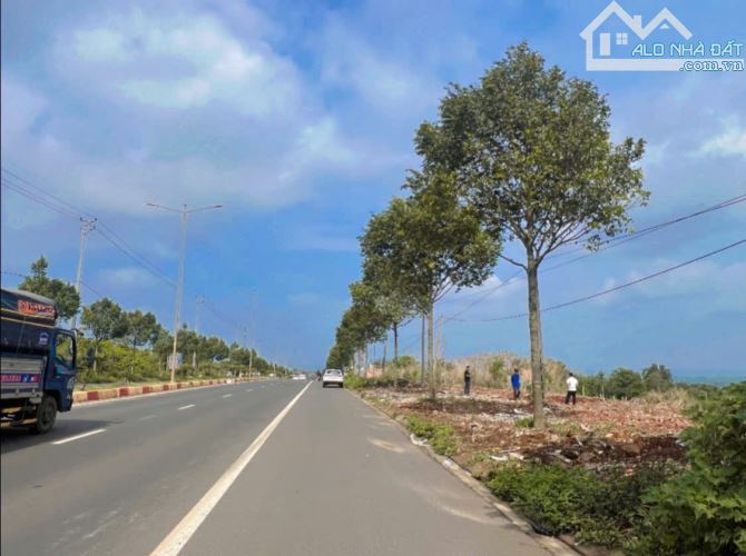 Hơn 2 sào mặt tiền Vành Đai 10/3 phường Tân Lợi - 5