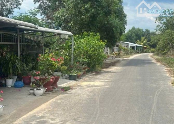 cần bán lại căn nhà 213m2 ở Phước Hiệp - Củ Chi giá 580 triệu. - 5