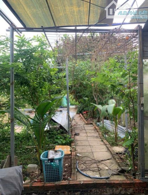 Cần bán gấp nhà cấp 4. DT 125m2 ở Tân Thông Hội - Củ Chi giá 620 triệu - 5