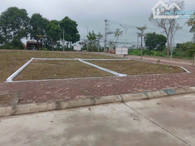 66,6m đấu giá Vạn Yên - Mê Linh - 5