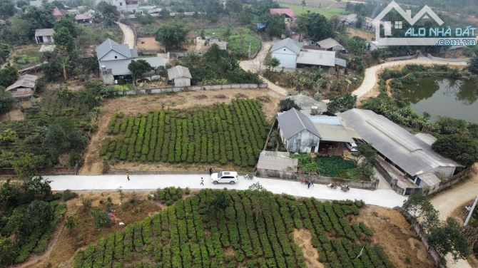 Bán đất Thôn Chóng, Yên Bài, Ba Vì DT 483 m2 giá rẻ - 5