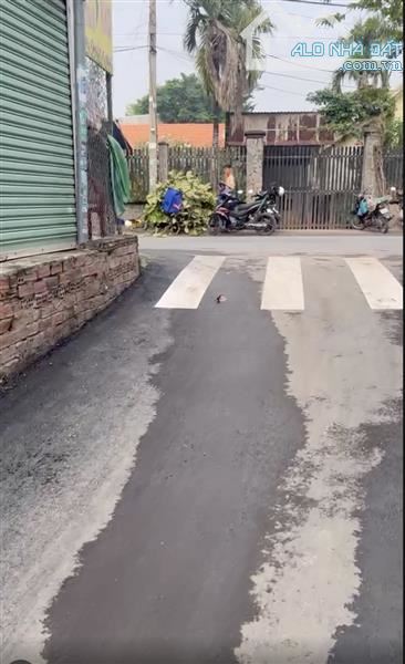 📌 👉NHÀ ĐẸP, HXH ĐỂ CỬA, GIÁ HẠT DẺ, TẶNG NỘI THẤT CƠ BẢN, 60M CHỈ 3.xTY ĐƯỜNG NGUYỄN XIỂ - 5