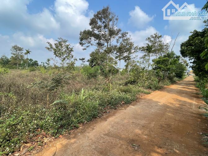 Đất hẻm cấp 1 Quốc Lộ 14 Cuor Đăng thích hợp làm kho bãi - 6