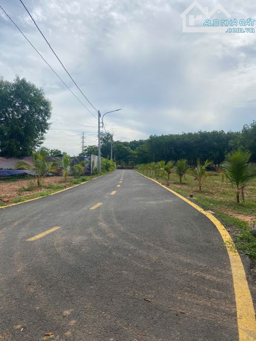 BÁN LÔ ĐẤT ĐẸP – TÂN ĐỊNH, TP. BẾN CÁT - 6
