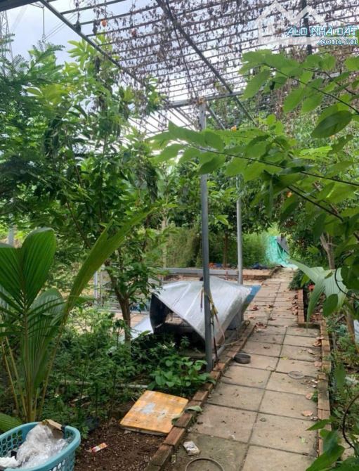 Cần bán gấp nhà cấp 4. DT 125m2 ở Tân Thông Hội - Củ Chi giá 620 triệu - 6