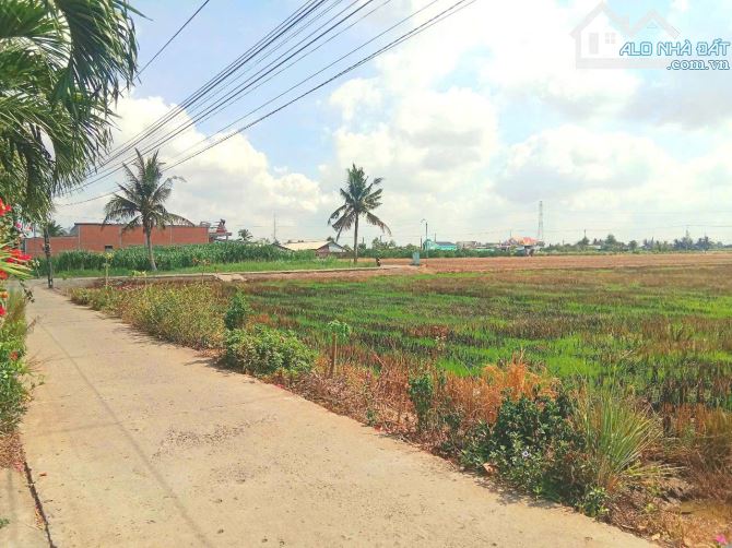 Hàng Vip, Lô góc 250m2 đất thổ cư 10x 25m chỉ 790tr - 7