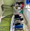 Bán nhà Bầu gia Thượng  dt 100 m2  ngang 5m đường vào  5.5 m 2 tầng giá chỉ  4.8 tỷ