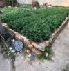 LÔ GÓC ĐẸP ĐÔNG LAI - QUANG TIÊN - SÓC SƠN DIỆN TÍCH 40M2 TÀI  CHÍNH NHỈNH HƠN 1 TỶ