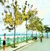 SIÊU HIẾM MẶT HỒ TÂY 36M2, 7T, MT4.7, THANG MÁY ÊM RU, GIÁ 32 TỶ