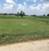 Giảm sâu, cần bán lô đất vườn gần 500m2, ngay Chợ Hòa Khánh, đường xe ô tô , giá 1ty250