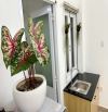 PHÂN LÔ VƯƠNG THỪA VŨ 55M- NGÕ 140- CCMN 8 TẦNG- FULL NỘI THẤT- GIÁ NHỈNH 18 TỶ