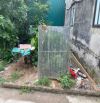 BÁN ĐẤT TAM THUẤN - PHÚC THỌ - HÀ NỘI- 48,5m2