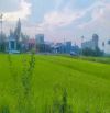 View Lúa Trực Diện - Điện Phương sát Hôi An - Oto Thông - 82m2 - MT 5m15 - 8xx.