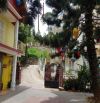🌟🌟🌟 BIỆT THỰ 300m2 - KHU PHẠM HỒNG THÁI P.10 TP.ĐALAT. GIÁ 29 TỶ 🌟🌟🌟