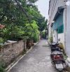 KIÊN THÀNH TRÂU QUỲ GIA LÂM 6.8TỶ