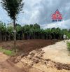 đất Thổ Cư Xã Thanh Bình Trảng Bom Đường Nguyễn Hoàng 50m Thổ Cư Full Đường 5m thoáng mát