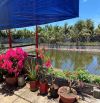 👍👍 Bán lô đất đẹp rộng rãi 7x29m 200m2 Tc60 giá chỉ 990tr📣📣