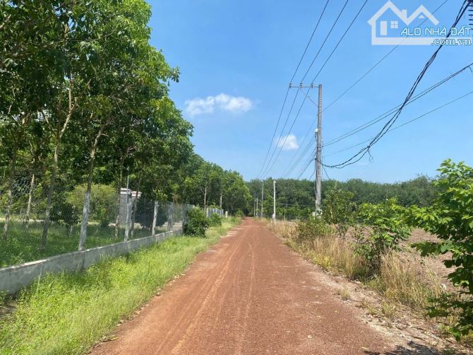 Chính Chủ Bán Vườn 2230m2 Mặt tiền ngang 90met, Giá 750 triệu, Ngay Ủy Ban Xã Tân Hiệp - 1