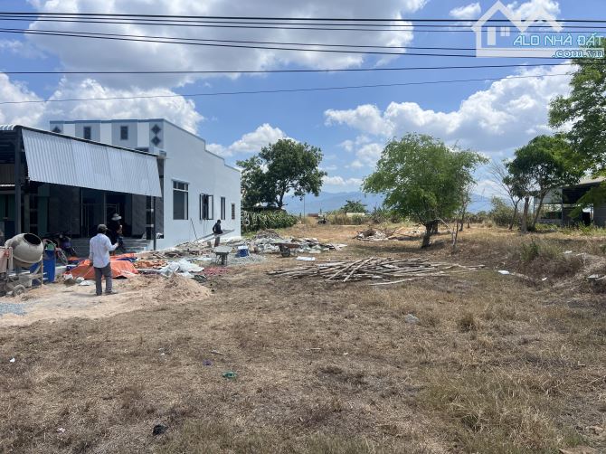 💥 BÁN ĐẤT MẶT TIỀN NHỰA GẦN CHỢ VÀ TRƯỜNG HỌC XÃ HÀM THẠNH