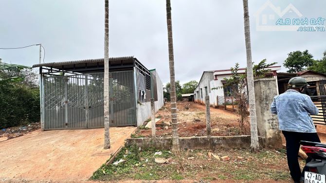 ĐẤT ĐẸP DÀI MIÊN MAN ĐƯỜNG N7 BUÔN JU ĐƯỜNG THÔNG RỘNG - Loctran