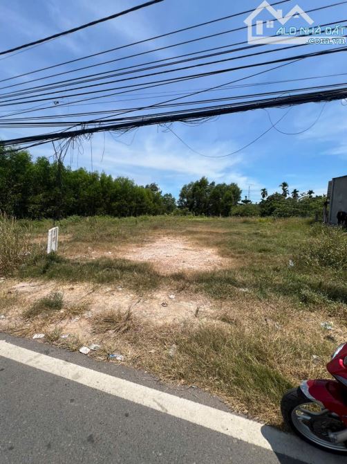 1600m2 có 140m thổ Cư  Mặt tiền đường Hùng Vương Phước An Nhơn Trạch  Đường xe công kinh d